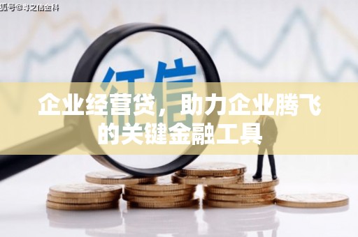 巍山企业经营贷，助力企业腾飞的关键金融工具