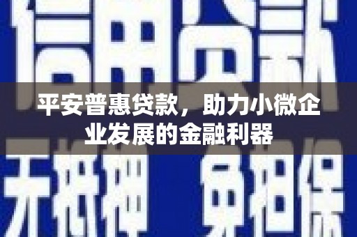巍山平安普惠贷款，助力小微企业发展的金融利器