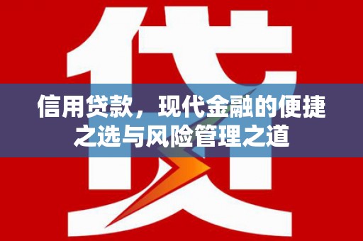 巍山信用贷款，现代金融的便捷之选与风险管理之道