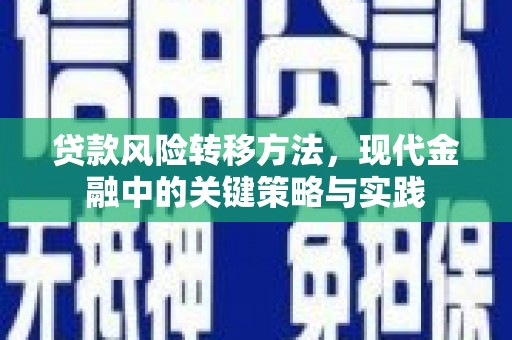 巍山贷款风险转移方法，现代金融中的关键策略与实践