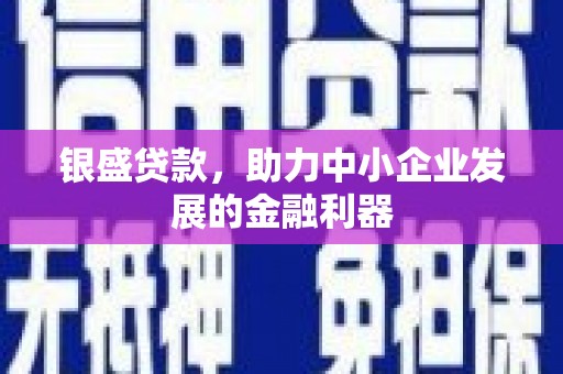 巍山银盛贷款，助力中小企业发展的金融利器