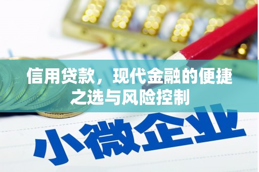 巍山信用贷款，现代金融的便捷之选与风险控制