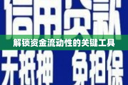 巍山解锁资金流动性的关键工具