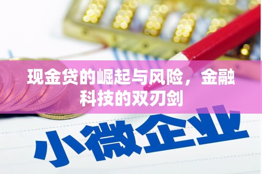 巍山现金贷的崛起与风险，金融科技的双刃剑