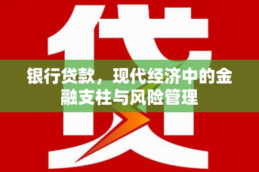巍山银行贷款，现代经济中的金融支柱与风险管理