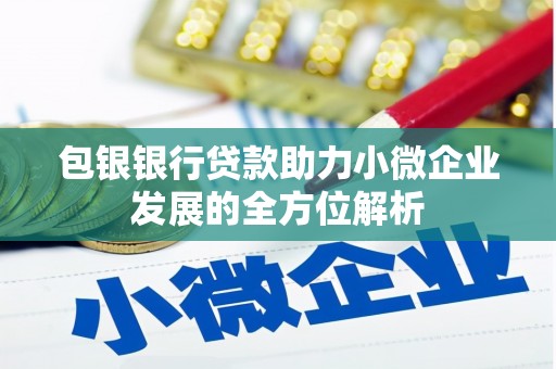巍山包银银行贷款助力小微企业发展的全方位解析 巍山包银银行贷款助力小微企业发展的全方位解析