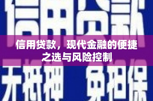 巍山信用贷款，现代金融的便捷之选与风险控制
