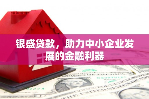巍山银盛贷款，助力中小企业发展的金融利器