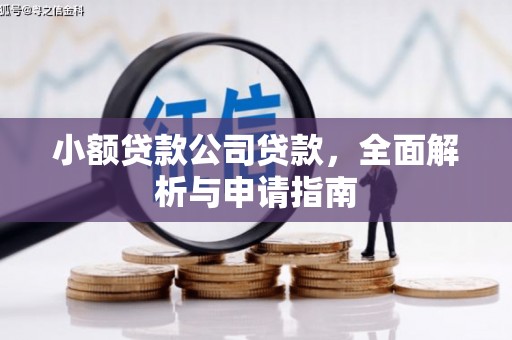 巍山小额贷款公司贷款，全面解析与申请指南