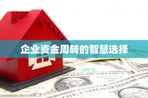巍山企业资金周转的智慧选择