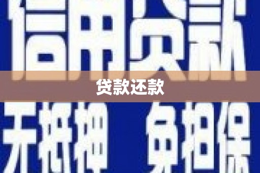 巍山贷款还款