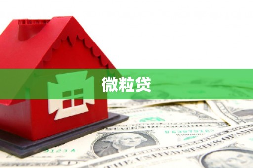巍山微粒贷