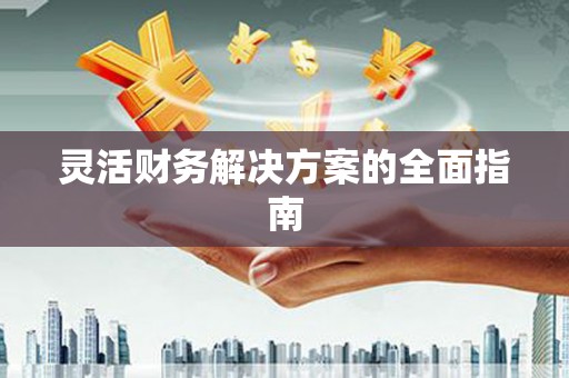 巍山灵活财务解决方案的全面指南
