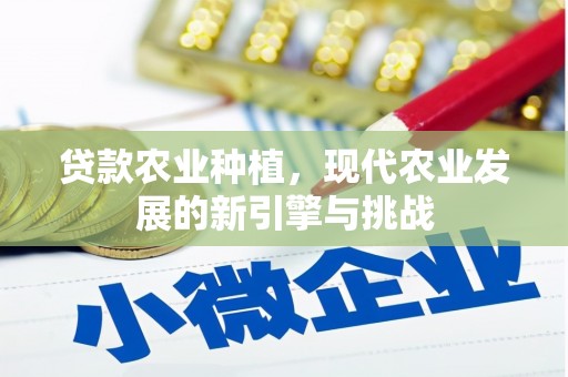 巍山贷款农业种植，现代农业发展的新引擎与挑战