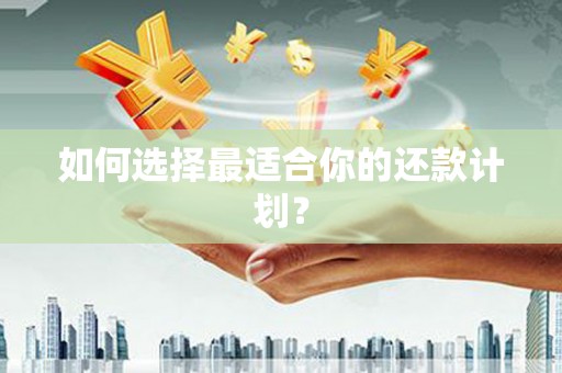 巍山如何选择最适合你的还款计划？