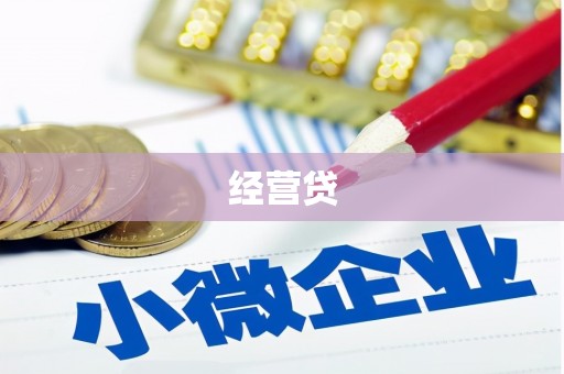 巍山经营贷