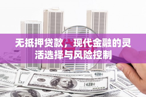 巍山无抵押贷款，现代金融的灵活选择与风险控制