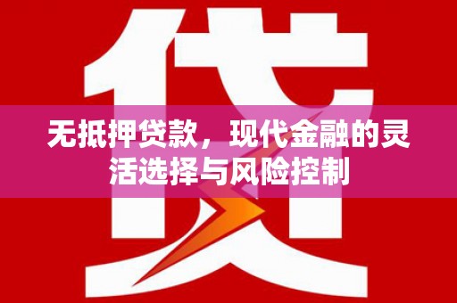 巍山无抵押贷款，现代金融的灵活选择与风险控制
