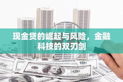 巍山现金贷的崛起与风险，金融科技的双刃剑
