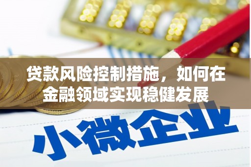 巍山贷款风险控制措施，如何在金融领域实现稳健发展
