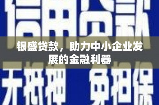 巍山银盛贷款，助力中小企业发展的金融利器