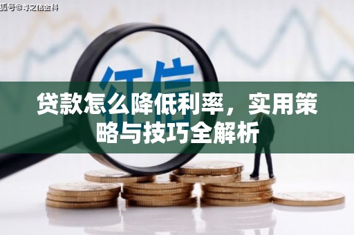 巍山贷款怎么降低利率，实用策略与技巧全解析