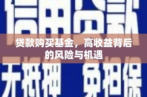 巍山贷款购买基金，高收益背后的风险与机遇