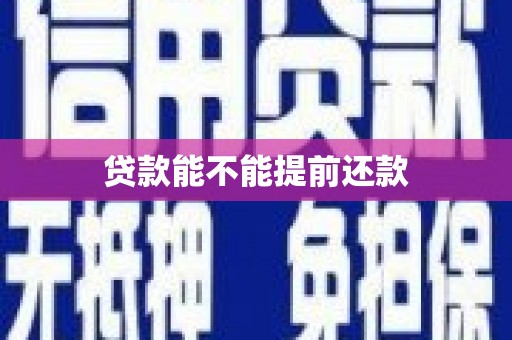 巍山贷款能不能提前还款