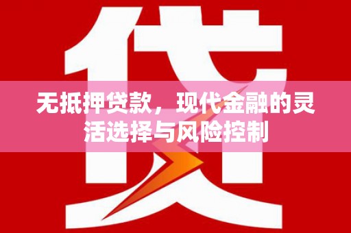 巍山无抵押贷款，现代金融的灵活选择与风险控制