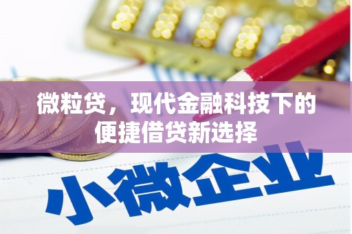 巍山微粒贷，现代金融科技下的便捷借贷新选择