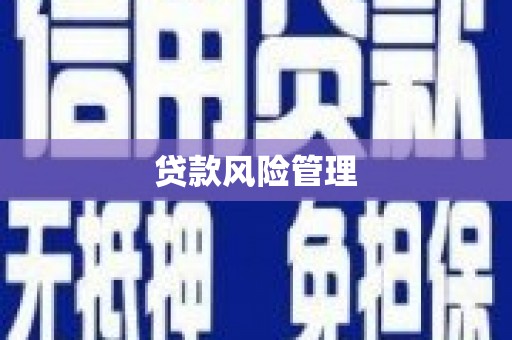 巍山贷款风险管理