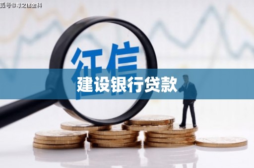 巍山建设银行贷款