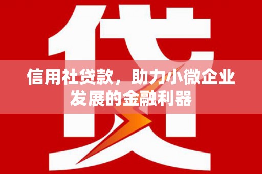 巍山信用社贷款，助力小微企业发展的金融利器