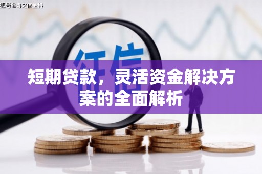 巍山短期贷款，灵活资金解决方案的全面解析