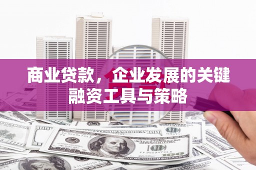 巍山商业贷款，企业发展的关键融资工具与策略