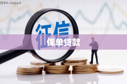 巍山保单贷款