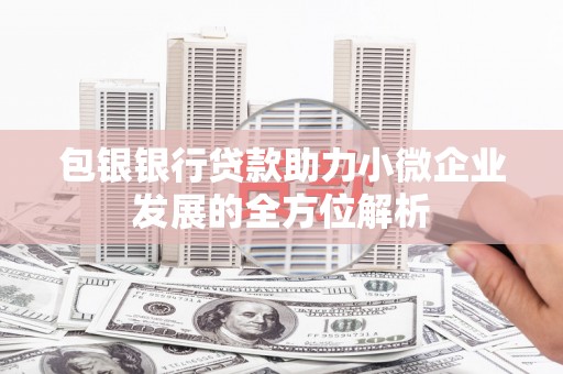 巍山包银银行贷款助力小微企业发展的全方位解析