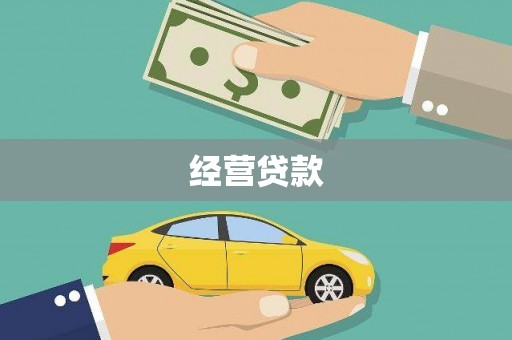 巍山经营贷款