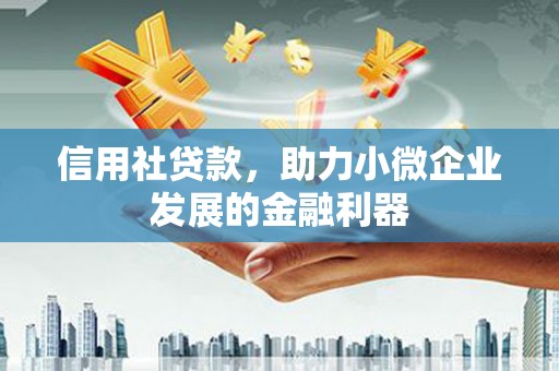 巍山信用社贷款，助力小微企业发展的金融利器