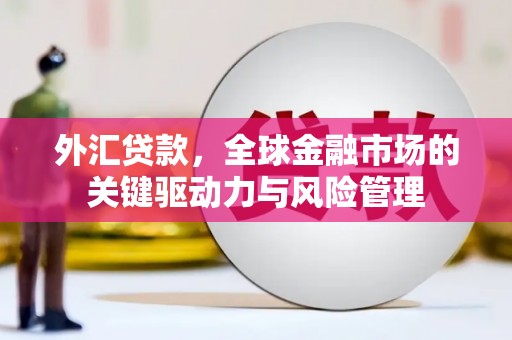 巍山外汇贷款，全球金融市场的关键驱动力与风险管理
