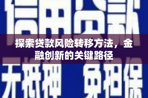 巍山探索贷款风险转移方法，金融创新的关键路径