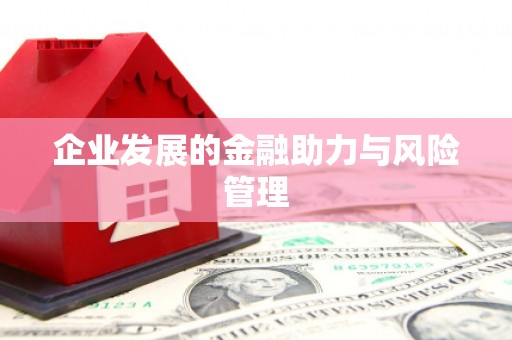 巍山企业发展的金融助力与风险管理