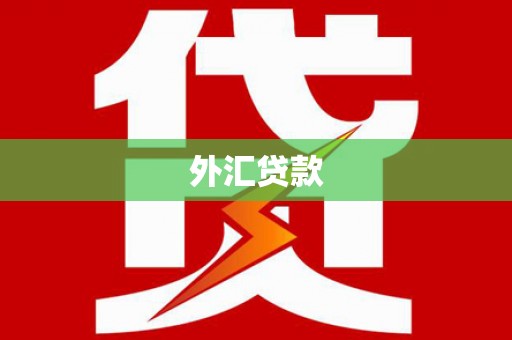 巍山外汇贷款