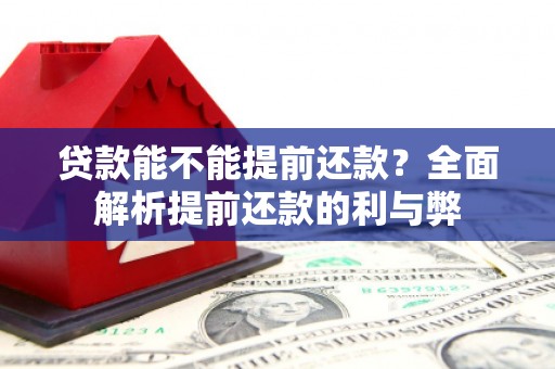 巍山贷款能不能提前还款？全面解析提前还款的利与弊