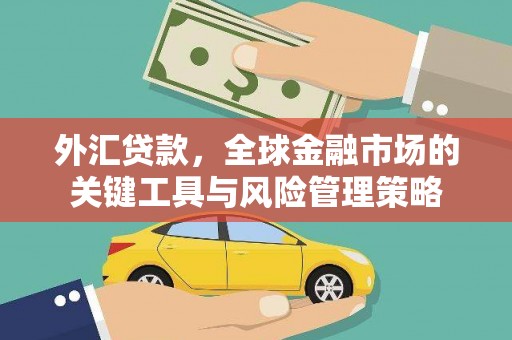 巍山外汇贷款，全球金融市场的关键工具与风险管理策略