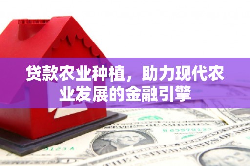 巍山贷款农业种植，助力现代农业发展的金融引擎