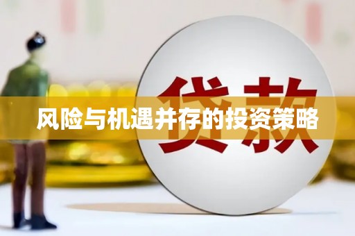 巍山风险与机遇并存的投资策略