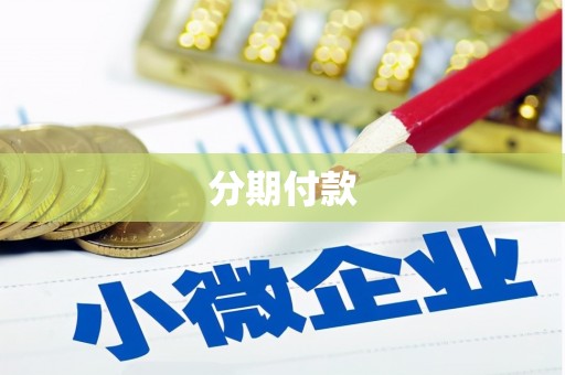 巍山分期付款