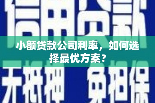 巍山小额贷款公司利率，如何选择最优方案？