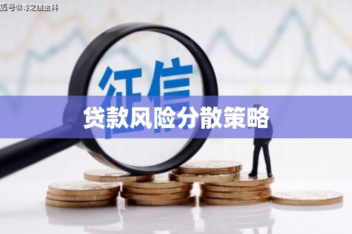 巍山贷款风险分散策略